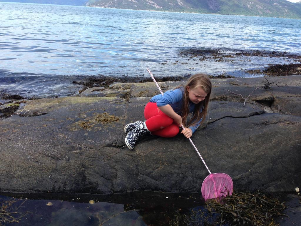 Brekkestranda Fjordhotel Brekke  Dış mekan fotoğraf